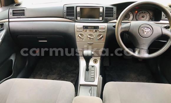 Nunua Ilio tumika Toyota Runx Fedha Gari ndani ya Avondale nchini Harare Nunua Ilio tumika Toyota Runx Fedha Gari ndani ya Avondale nchini Harare