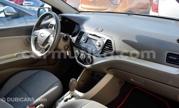 Tenga Imported Kia Picanto Bhurawuni Mota in Import - Dubai in Harare Tenga Imported Kia Picanto Bhurawuni Mota in Import - Dubai in Harare
