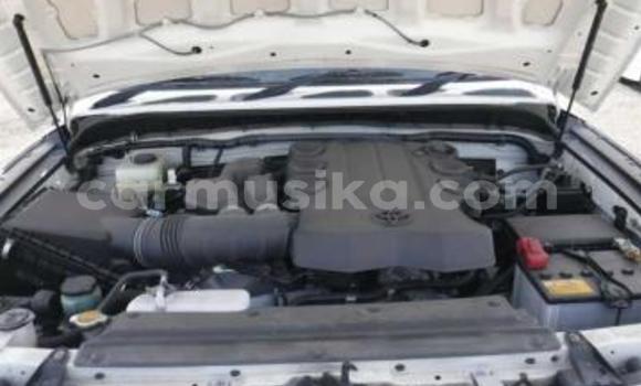 Acheter Occasion Voiture Toyota FJ Cruiser Blanc à Beitbridge, Matabeleland South Acheter Occasion Voiture Toyota FJ Cruiser Blanc à Beitbridge, Matabeleland South