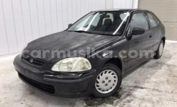 Buy Used Honda Fit Black Car in Beitbridge in Matabeleland South Buy Used Honda Fit Black Car in Beitbridge in Matabeleland South