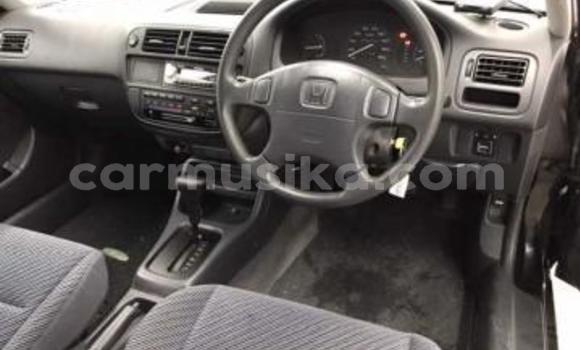 Buy Used Honda Fit Black Car in Beitbridge in Matabeleland South Buy Used Honda Fit Black Car in Beitbridge in Matabeleland South