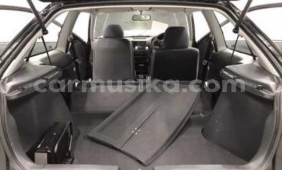 Buy Used Honda Fit Black Car in Beitbridge in Matabeleland South Buy Used Honda Fit Black Car in Beitbridge in Matabeleland South