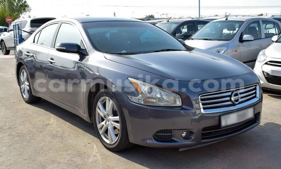 Tenga Imported Nissan Maxima Zvimwe Mota in Import - Dubai in Harare Tenga Imported Nissan Maxima Zvimwe Mota in Import - Dubai in Harare