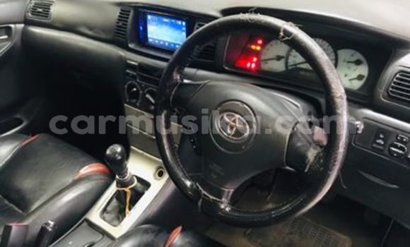 Buy Used Toyota Runx Silver Car in Beitbridge in Matabeleland South Buy Used Toyota Runx Silver Car in Beitbridge in Matabeleland South