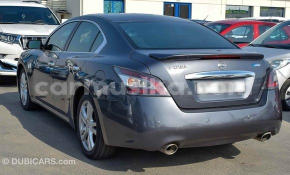 Tenga Imported Nissan Maxima Zvimwe Mota in Import - Dubai in Harare Tenga Imported Nissan Maxima Zvimwe Mota in Import - Dubai in Harare
