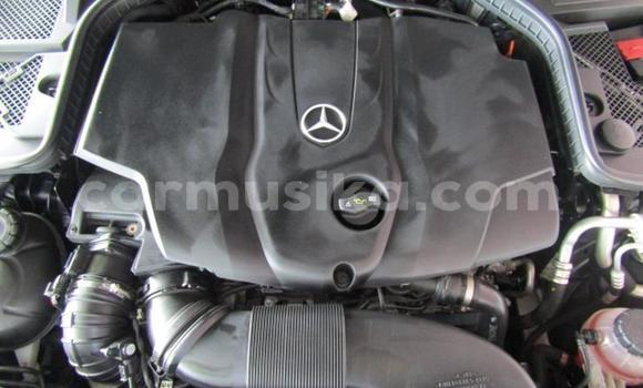Buy Used Mercedes-Benz CLS250 Silver Car in Beitbridge in Matabeleland South Buy Used Mercedes-Benz CLS250 Silver Car in Beitbridge in Matabeleland South
