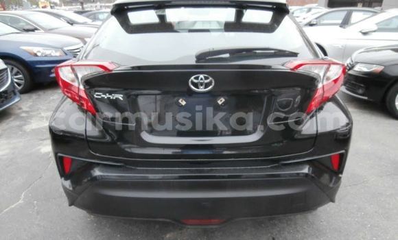 Buy Used Toyota C-HR Black Car in Greendale in Harare Buy Used Toyota C-HR Black Car in Greendale in Harare