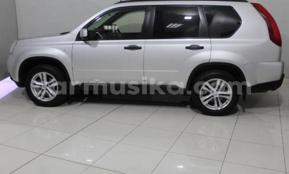Buy Used Nissan X–Trail Silver Car in Beitbridge in Matabeleland South Buy Used Nissan X–Trail Silver Car in Beitbridge in Matabeleland South