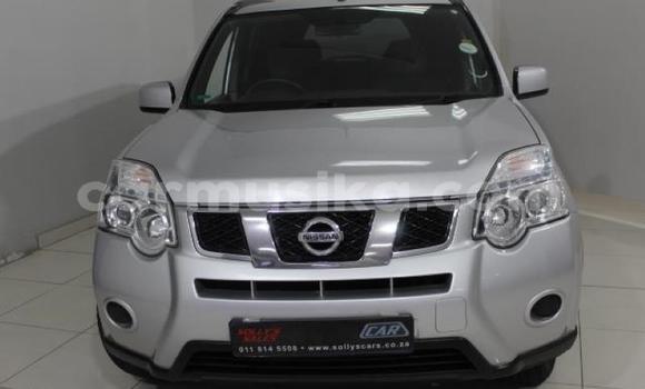 Buy Used Nissan X–Trail Silver Car in Beitbridge in Matabeleland South Buy Used Nissan X–Trail Silver Car in Beitbridge in Matabeleland South