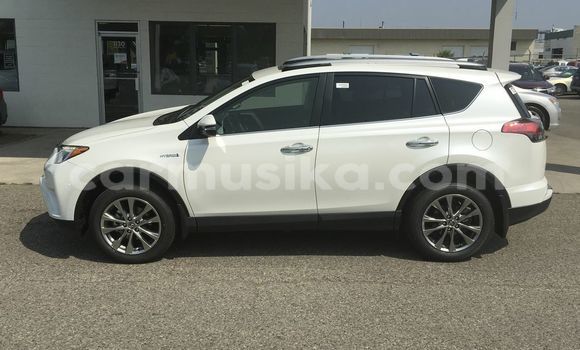 Nunua Ilio tumika Toyota RAV4 Nyeupe Gari ndani ya Harare nchini Harare Nunua Ilio tumika Toyota RAV4 Nyeupe Gari ndani ya Harare nchini Harare