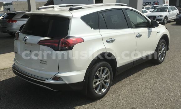 Nunua Ilio tumika Toyota RAV4 Nyeupe Gari ndani ya Harare nchini Harare Nunua Ilio tumika Toyota RAV4 Nyeupe Gari ndani ya Harare nchini Harare