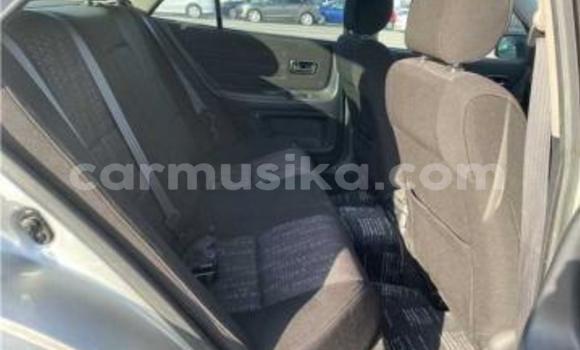 Acheter Occasion Voiture Toyota Altezza Gris à Beitbridge, Matabeleland South Acheter Occasion Voiture Toyota Altezza Gris à Beitbridge, Matabeleland South