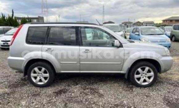 Acheter Occasion Voiture Nissan X–Trail Gris à Beitbridge, Matabeleland South Acheter Occasion Voiture Nissan X–Trail Gris à Beitbridge, Matabeleland South