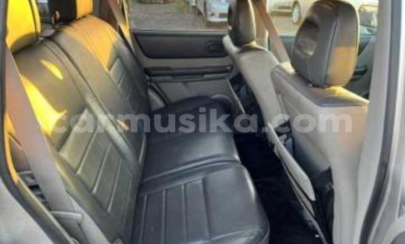 Acheter Occasion Voiture Nissan X–Trail Gris à Beitbridge, Matabeleland South Acheter Occasion Voiture Nissan X–Trail Gris à Beitbridge, Matabeleland South