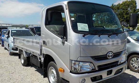 Tenga Tsaru Toyota Dyna Zvimwe Mota in Beitbridge in Matabeleland South