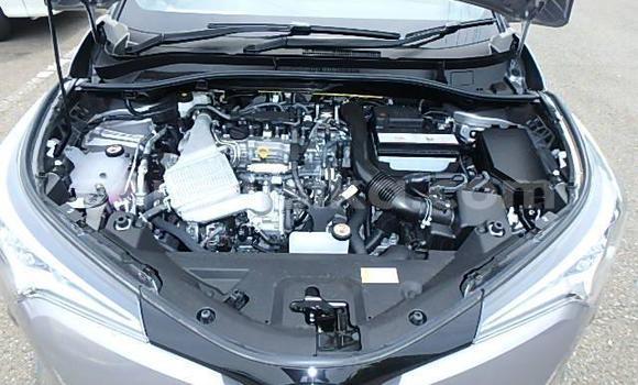 Acheter Occasion Voiture Toyota C-HR Autre à Beitbridge, Matabeleland South Acheter Occasion Voiture Toyota C-HR Autre à Beitbridge, Matabeleland South