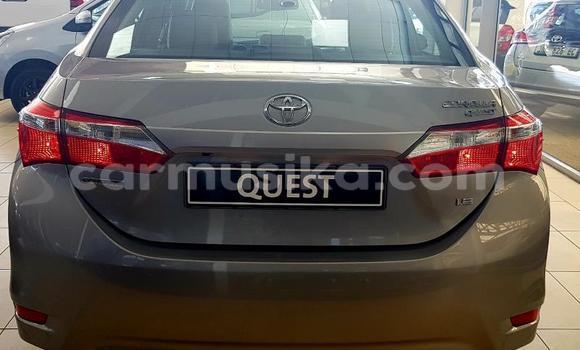 Nunua Ilio tumika Toyota Corolla Beige Gari ndani ya Beitbridge nchini Matabeleland Kusini Nunua Ilio tumika Toyota Corolla Beige Gari ndani ya Beitbridge nchini Matabeleland Kusini