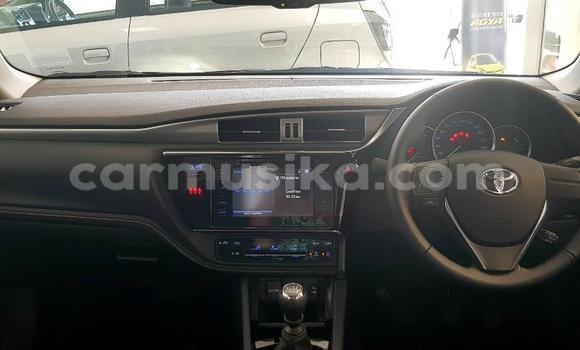 Nunua Ilio tumika Toyota Corolla Beige Gari ndani ya Beitbridge nchini Matabeleland Kusini Nunua Ilio tumika Toyota Corolla Beige Gari ndani ya Beitbridge nchini Matabeleland Kusini