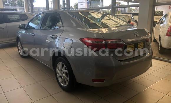 Nunua Ilio tumika Toyota Corolla Beige Gari ndani ya Beitbridge nchini Matabeleland Kusini Nunua Ilio tumika Toyota Corolla Beige Gari ndani ya Beitbridge nchini Matabeleland Kusini