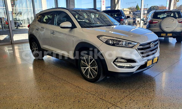 Tenga Tsaru Hyundai Tucson Sirivha Mota in Beitbridge in Matabeleland South