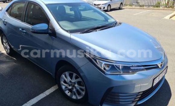 Nunua Ilio tumika Toyota Corolla Bluu Gari ndani ya Beitbridge nchini Matabeleland Kusini