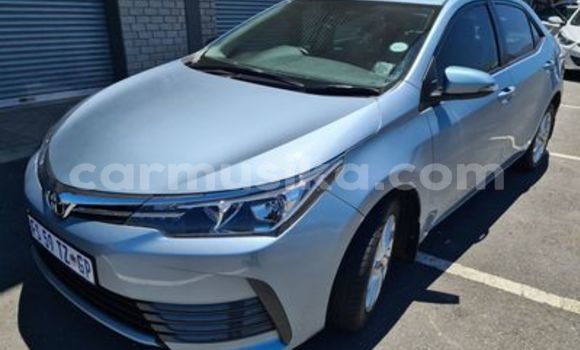 Buy Used Toyota Corolla Blue Car in Beitbridge in Matabeleland South Buy Used Toyota Corolla Blue Car in Beitbridge in Matabeleland South