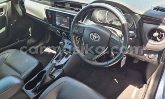 Buy Used Toyota Corolla Blue Car in Beitbridge in Matabeleland South Buy Used Toyota Corolla Blue Car in Beitbridge in Matabeleland South