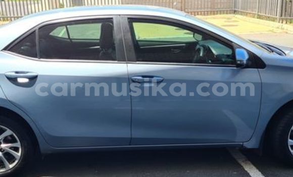 Buy Used Toyota Corolla Blue Car in Beitbridge in Matabeleland South Buy Used Toyota Corolla Blue Car in Beitbridge in Matabeleland South