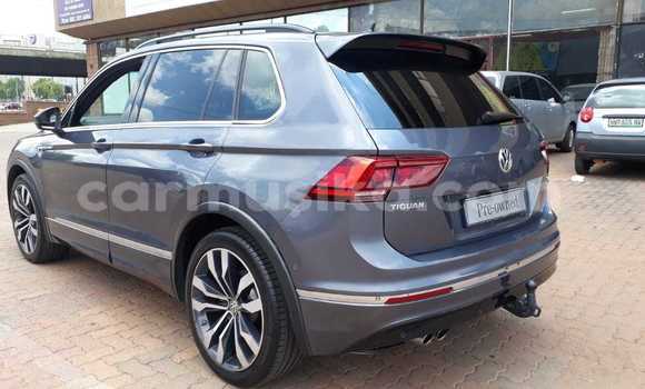 Buy Used Volkswagen Tiguan Silver Car in Beitbridge in Matabeleland South Buy Used Volkswagen Tiguan Silver Car in Beitbridge in Matabeleland South
