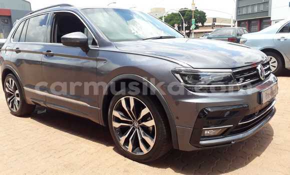 Buy Used Volkswagen Tiguan Silver Car in Beitbridge in Matabeleland South Buy Used Volkswagen Tiguan Silver Car in Beitbridge in Matabeleland South