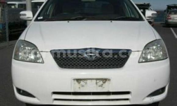 Nunua Ilio tumika Toyota Runx Nyeupe Gari ndani ya Beitbridge nchini Matabeleland Kusini