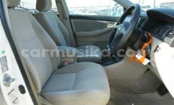 Acheter Occasion Voiture Toyota Runx Blanc à Beitbridge, Matabeleland South Acheter Occasion Voiture Toyota Runx Blanc à Beitbridge, Matabeleland South