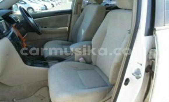 Acheter Occasion Voiture Toyota Runx Blanc à Beitbridge, Matabeleland South Acheter Occasion Voiture Toyota Runx Blanc à Beitbridge, Matabeleland South