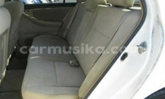 Acheter Occasion Voiture Toyota Runx Blanc à Beitbridge, Matabeleland South Acheter Occasion Voiture Toyota Runx Blanc à Beitbridge, Matabeleland South