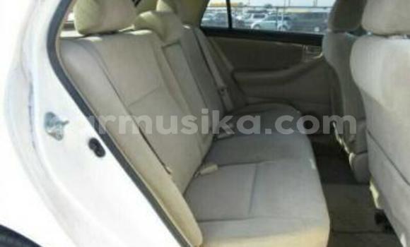 Acheter Occasion Voiture Toyota Runx Blanc à Beitbridge, Matabeleland South Acheter Occasion Voiture Toyota Runx Blanc à Beitbridge, Matabeleland South