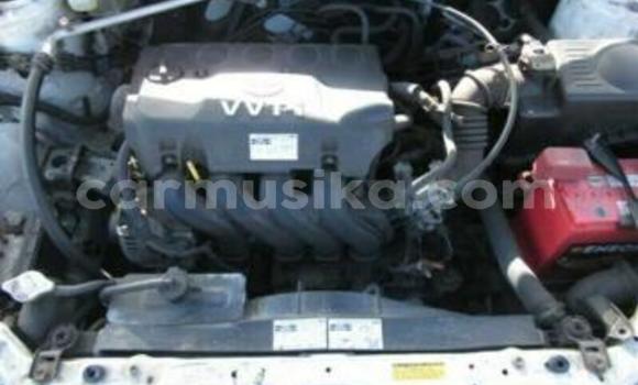 Acheter Occasion Voiture Toyota Runx Blanc à Beitbridge, Matabeleland South Acheter Occasion Voiture Toyota Runx Blanc à Beitbridge, Matabeleland South