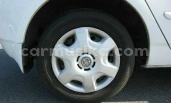 Acheter Occasion Voiture Toyota Runx Blanc à Beitbridge, Matabeleland South Acheter Occasion Voiture Toyota Runx Blanc à Beitbridge, Matabeleland South