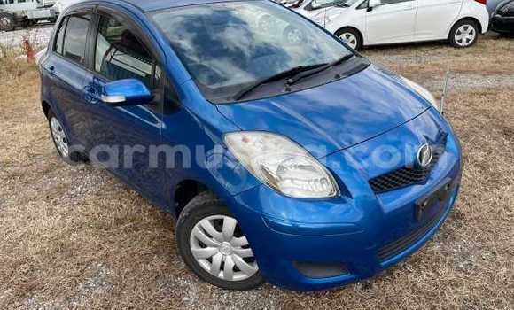 Buy Used Toyota Vitz Blue Car in Beitbridge in Matabeleland South