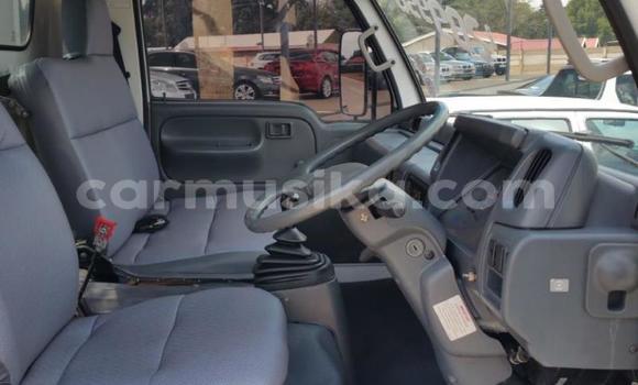 Acheter Import Utilitaire Toyota Dyna Autre à Beitbridge, Matabeleland South Acheter Import Utilitaire Toyota Dyna Autre à Beitbridge, Matabeleland South