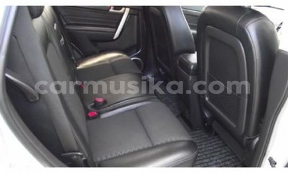 Buy Used Chevrolet Captiva Other Car in Beitbridge in Matabeleland South Buy Used Chevrolet Captiva Other Car in Beitbridge in Matabeleland South