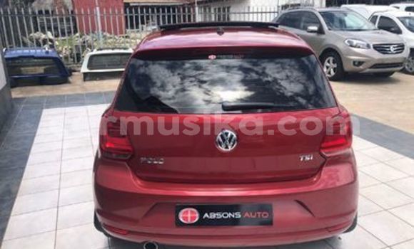 Nunua Ilio tumika Volkswagen Polo Nyekundu Gari ndani ya Beitbridge nchini Matabeleland Kusini Nunua Ilio tumika Volkswagen Polo Nyekundu Gari ndani ya Beitbridge nchini Matabeleland Kusini