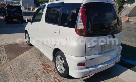 Buy Used Toyota FunCargo White Car in Beitbridge in Matabeleland South Buy Used Toyota FunCargo White Car in Beitbridge in Matabeleland South