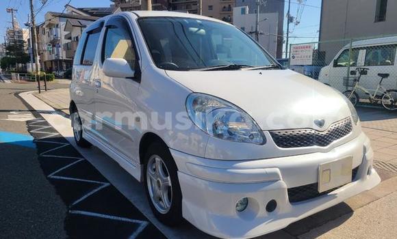 Buy Used Toyota FunCargo White Car in Beitbridge in Matabeleland South Buy Used Toyota FunCargo White Car in Beitbridge in Matabeleland South