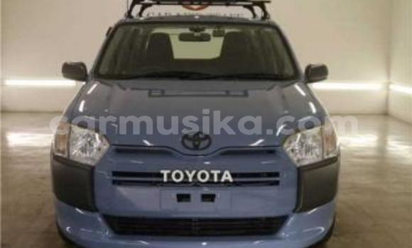 Tenga Tsaru Toyota Probox Zvimwe Mota in Beitbridge in Matabeleland South