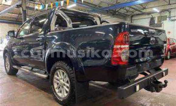 Tenga Tsaru Toyota Hilux Bhuruu Mota in Beitbridge in Matabeleland South Tenga Tsaru Toyota Hilux Bhuruu Mota in Beitbridge in Matabeleland South