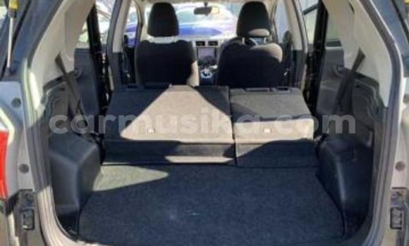 Nunua Ilio tumika Toyota Ractis Nyeusi Gari ndani ya Beitbridge nchini Matabeleland Kusini Nunua Ilio tumika Toyota Ractis Nyeusi Gari ndani ya Beitbridge nchini Matabeleland Kusini