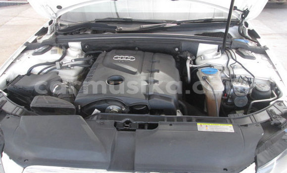 Buy Used Audi A4 White Car in Beitbridge in Matabeleland South Buy Used Audi A4 White Car in Beitbridge in Matabeleland South