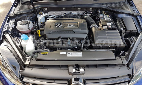 Tenga Tsaru Volkswagen Golf GTI Bhuruu Mota in Beitbridge in Matabeleland South Tenga Tsaru Volkswagen Golf GTI Bhuruu Mota in Beitbridge in Matabeleland South