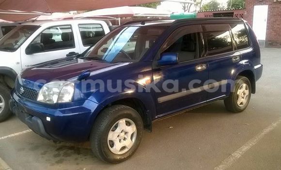 Nunua Ilio tumika Nissan X–Trail Bluu Gari ndani ya Alexandra Park nchini Harare