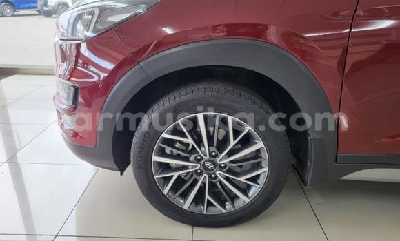Acheter Occasion Voiture Hyundai Tucson Rouge à Bulawayo, Bulawayo Acheter Occasion Voiture Hyundai Tucson Rouge à Bulawayo, Bulawayo